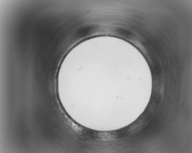 X0000071950807200607141457