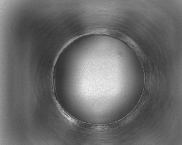 X0000071950808200607141457