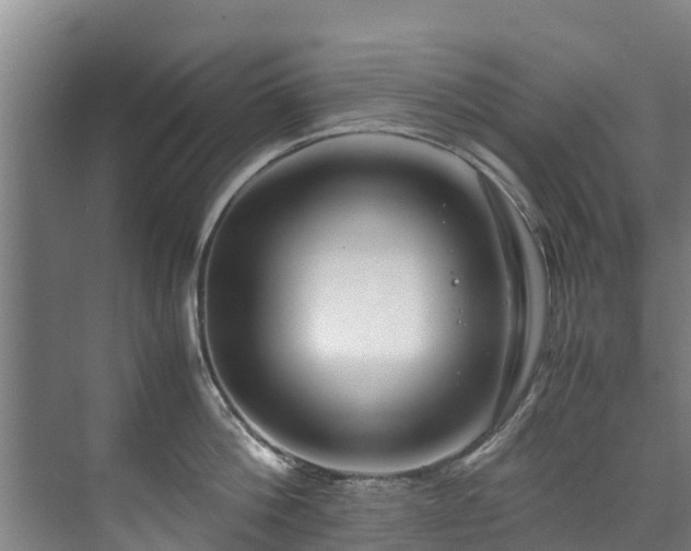 X0000071950812200607141457