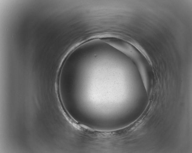 X0000071950813200607141457