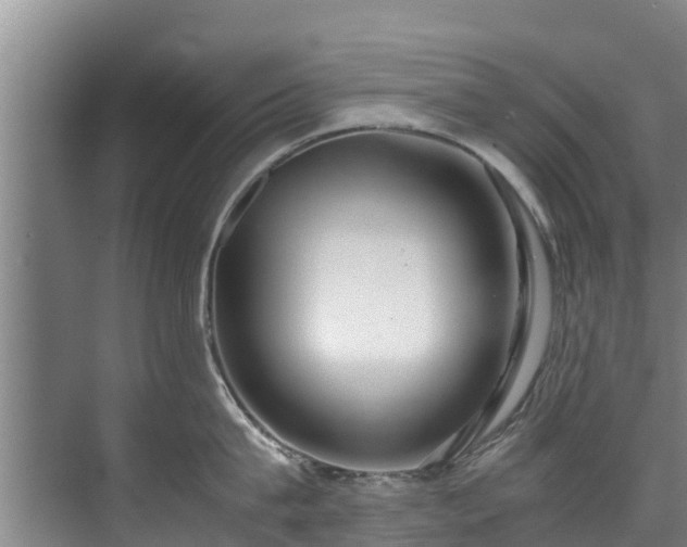 X0000071950815200607141457