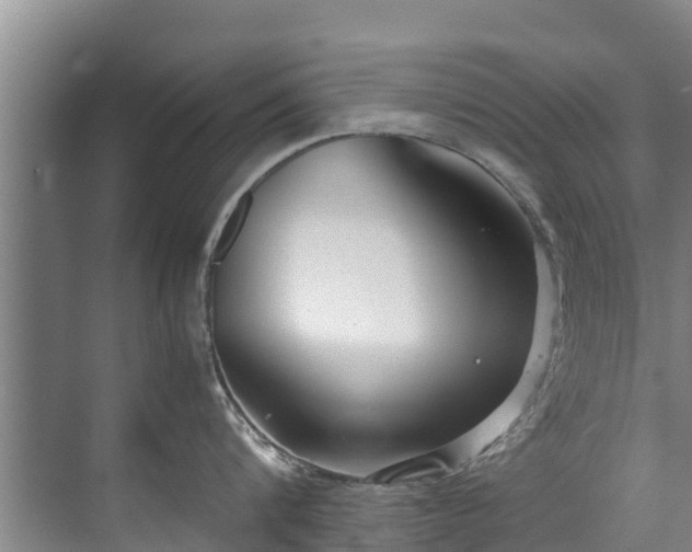 X0000071950816200607141457