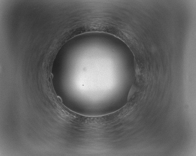 X0000071950817200607141456