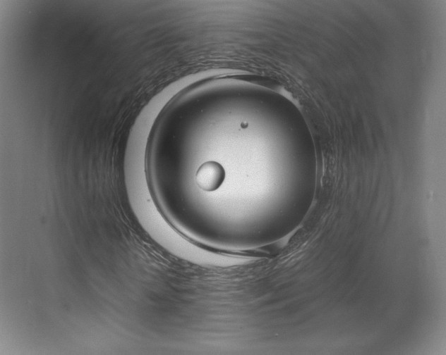 X0000071950818200607141456