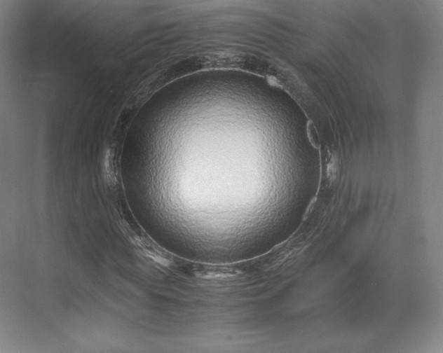 X0000071950819200607141456