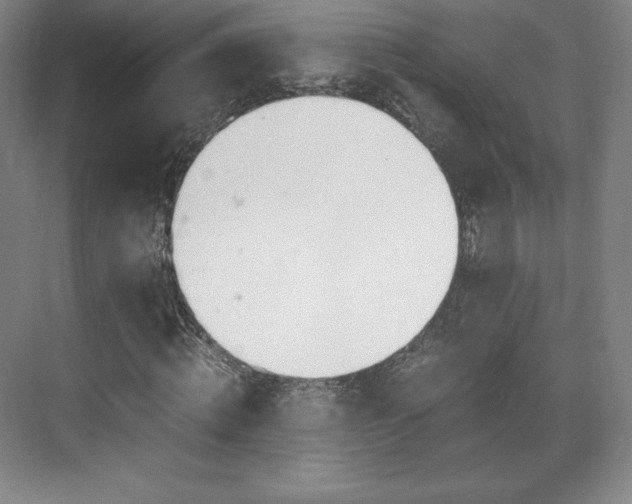 X0000071950820200607141456