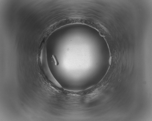 X0000071950821200607141456