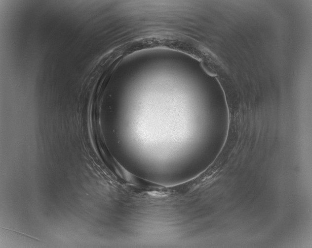 X0000071950822200607141456