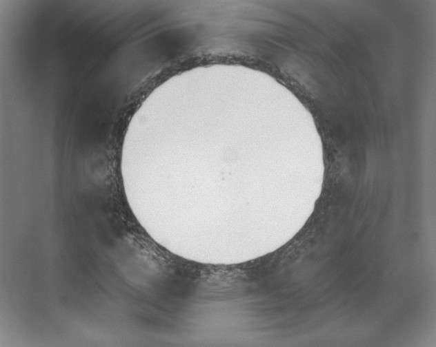 X0000071950824200607141456