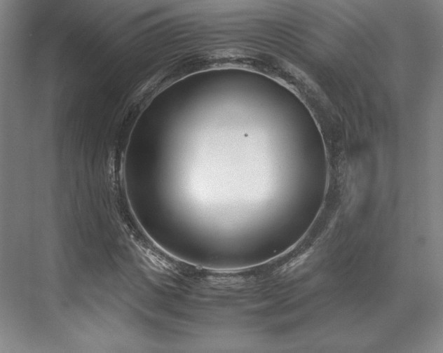 X0000071950825200607141456