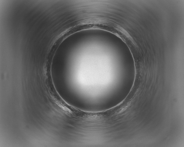 X0000071950826200607141456