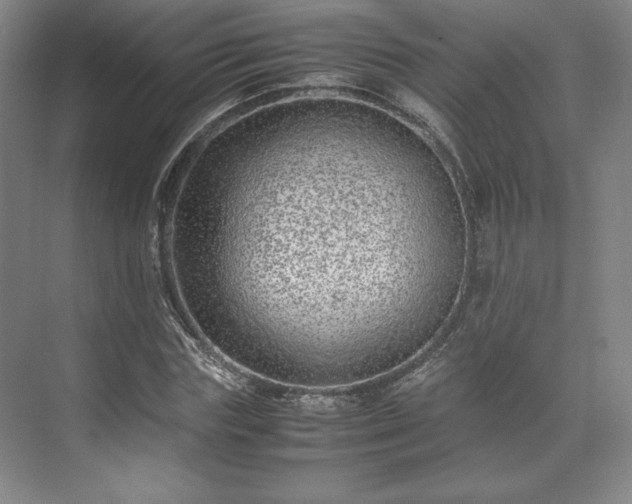 X0000071950827200607141456