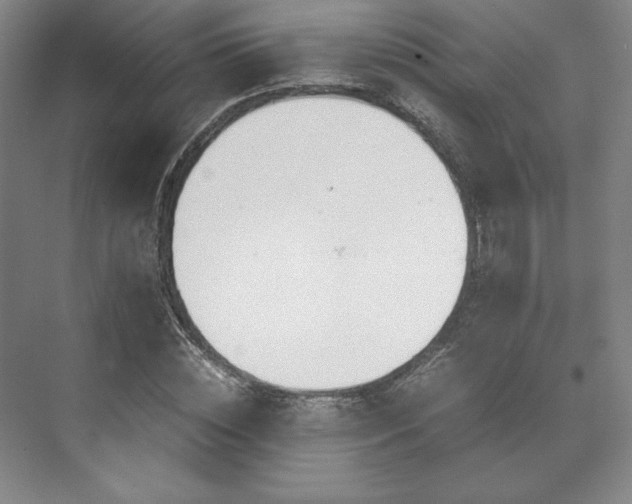 X0000071950828200607141456