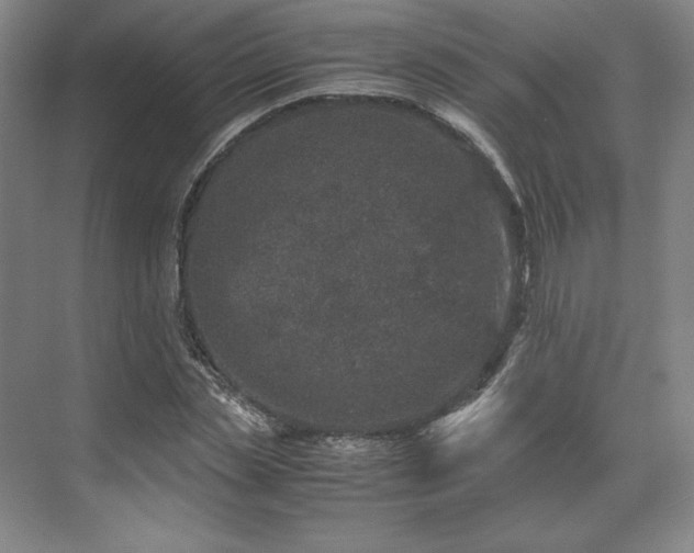 X0000071950829200607141457