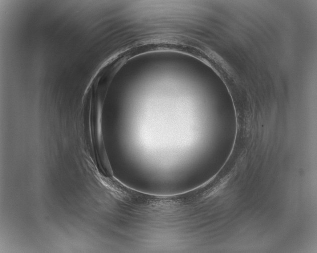 X0000071950830200607141457