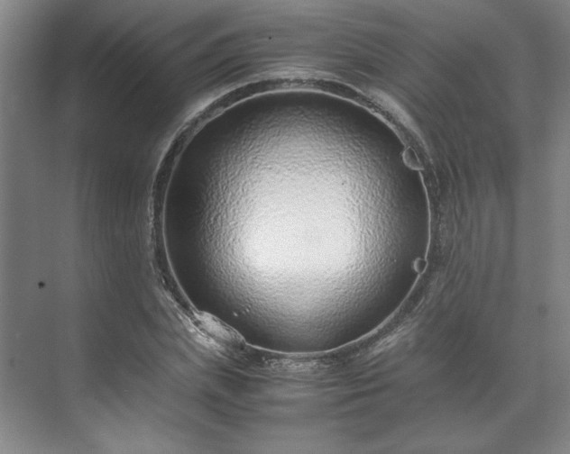 X0000071950831200607141457