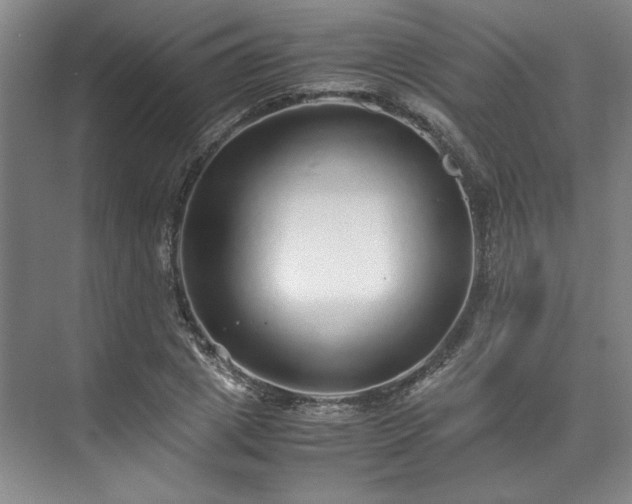 X0000071950833200607141457