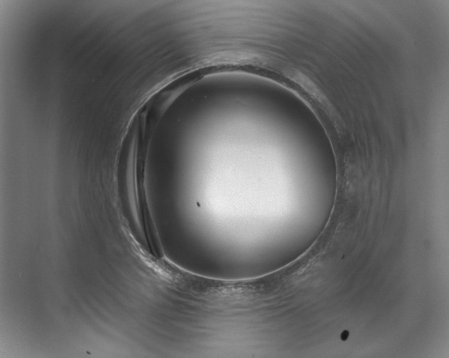 X0000071950834200607141457