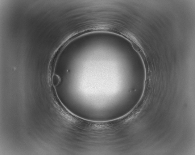 X0000071950835200607141457