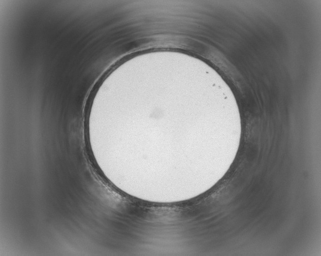 X0000071950836200607141457