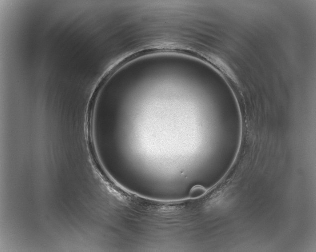 X0000071950839200607141457