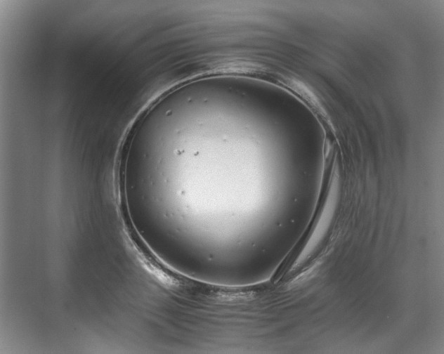 X0000071950843200607141457