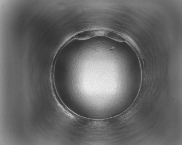 X0000071950847200607141457