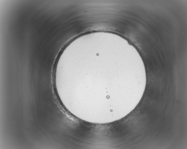 X0000071950848200607141457