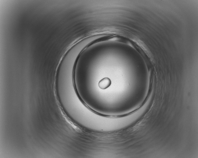 X0000071950850200607141457