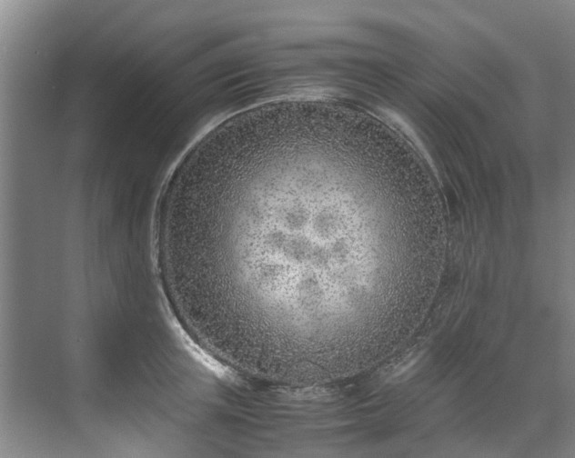 X0000071950851200607141457