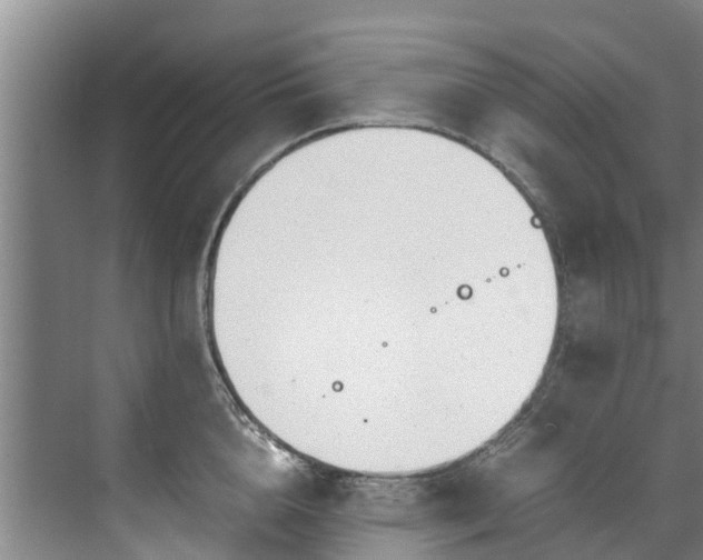 X0000071950856200607141457