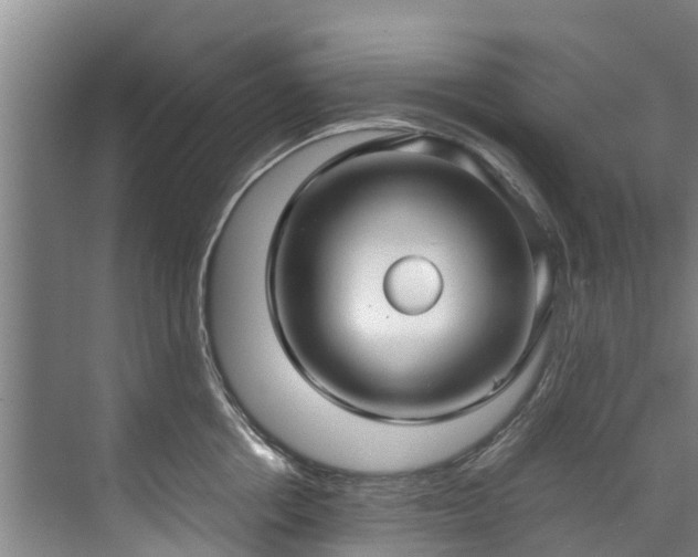 X0000071950858200607141457