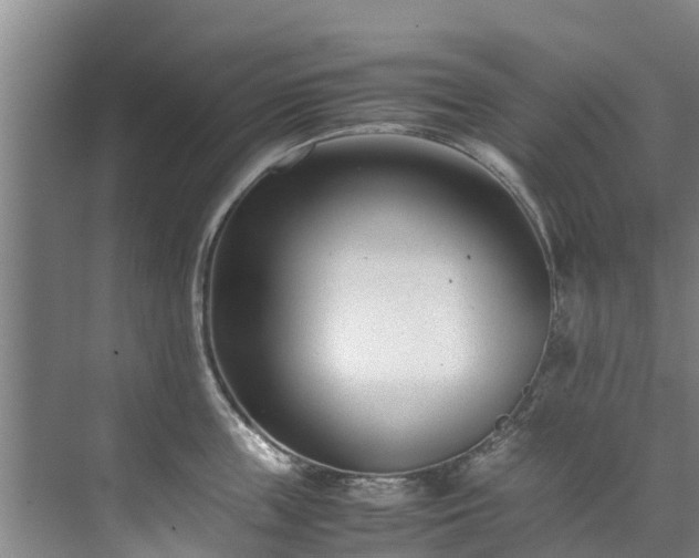 X0000071950859200607141457