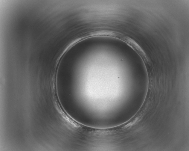 X0000071950860200607141457