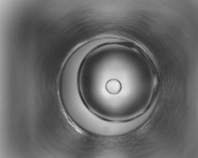 X0000071950862200607141457