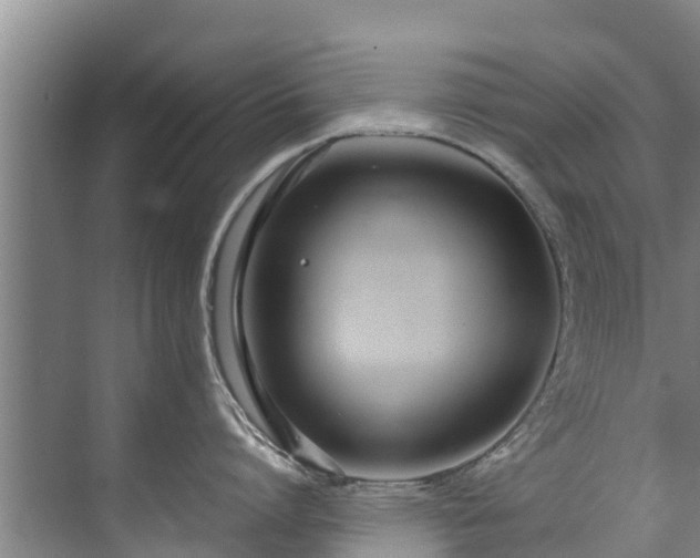 X0000071950864200607141457