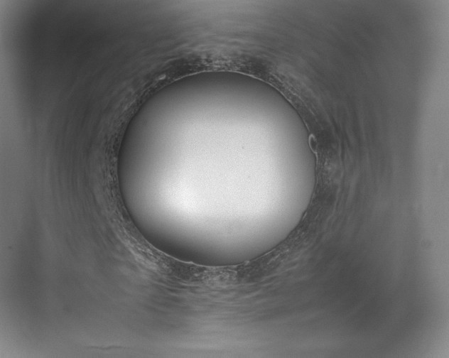 X0000071950865200607141456