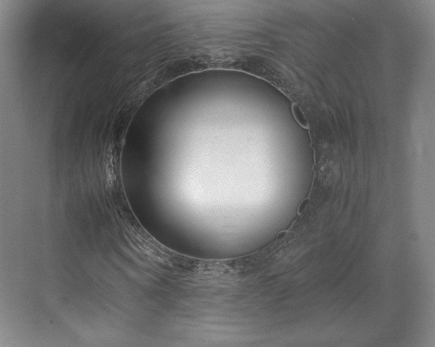 X0000071950866200607141456