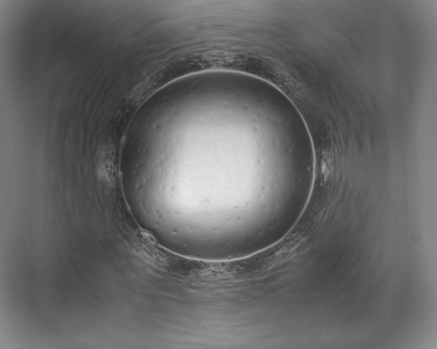 X0000071950867200607141456