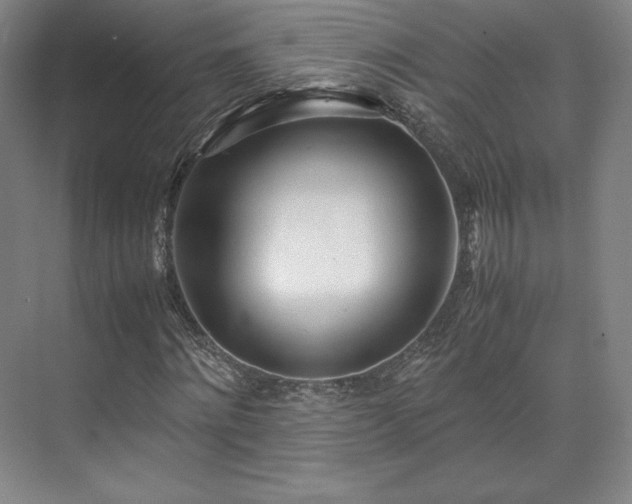 X0000071950868200607141456