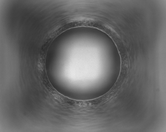 X0000071950869200607141456