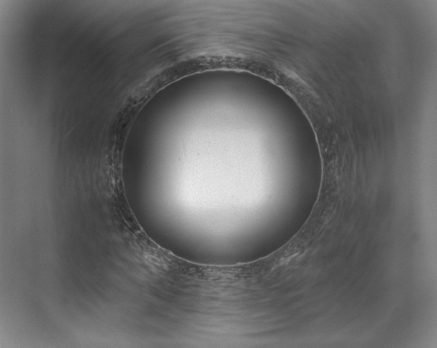 X0000071950870200607141456