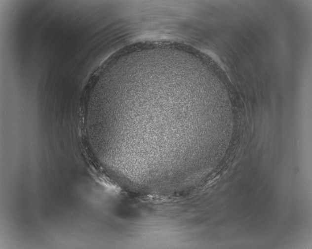 X0000071950871200607141456