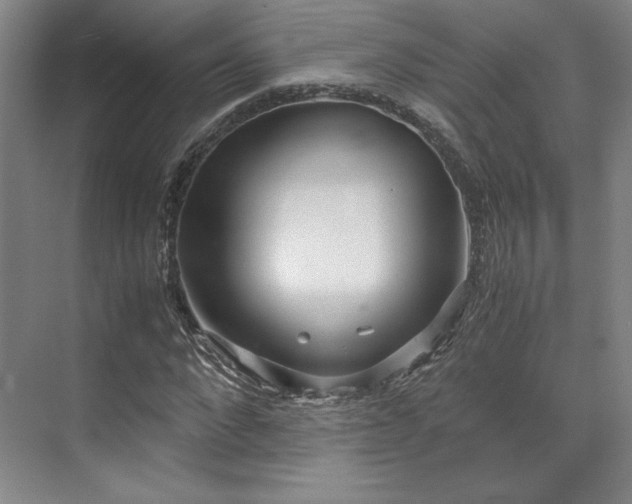 X0000071950872200607141456