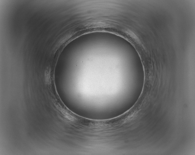 X0000071950873200607141456