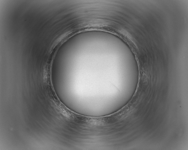 X0000071950874200607141456