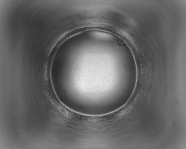 X0000071950875200607141456