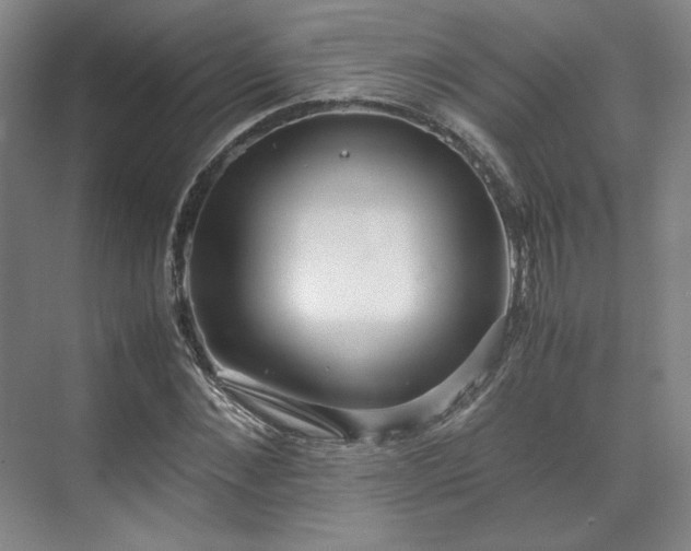 X0000071950876200607141456