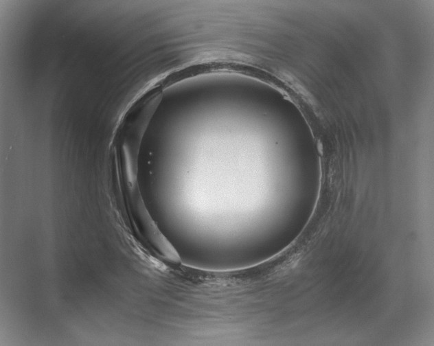 X0000071950877200607141456