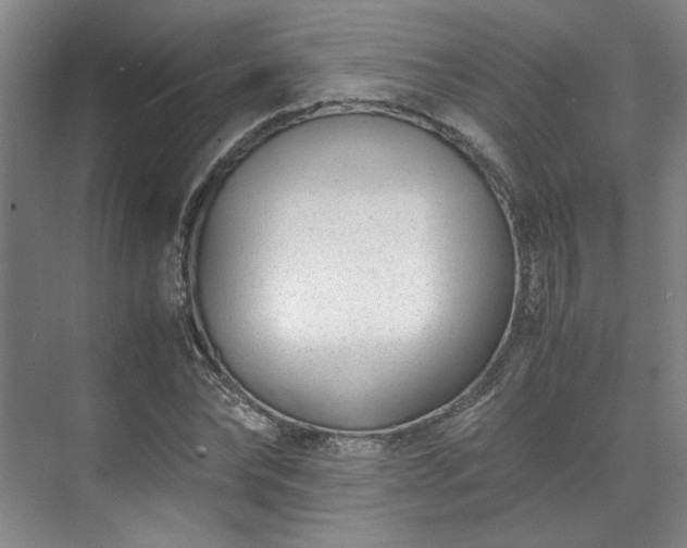 X0000071950878200607141456